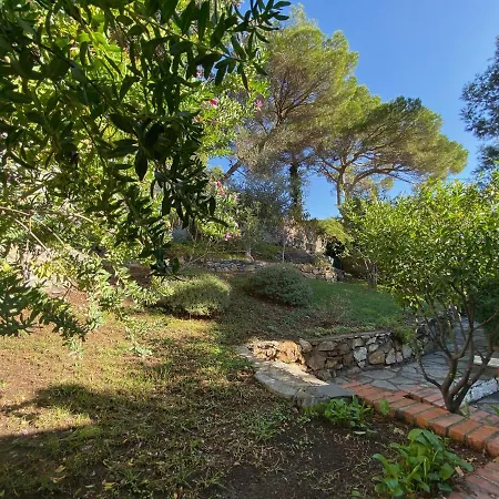 La Pineta *