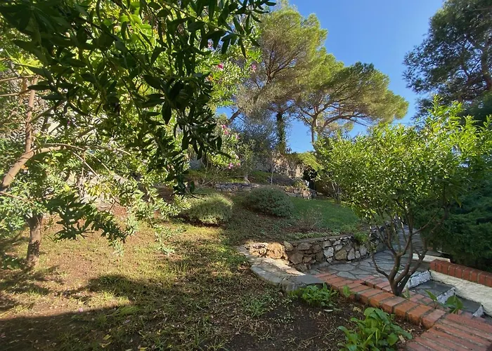 La Pineta *